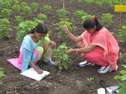 two women measuring the height of a plant and taking notes
