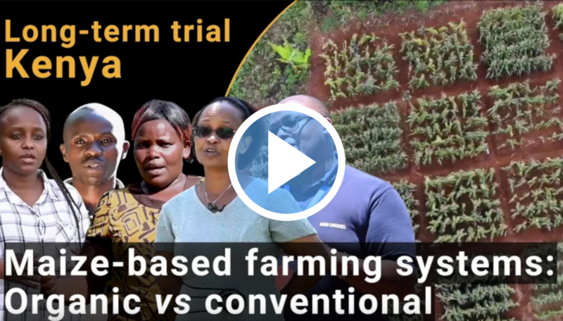 SysCom Kenya Introduction Video