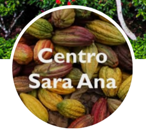 Centro Sara Ana social media channels